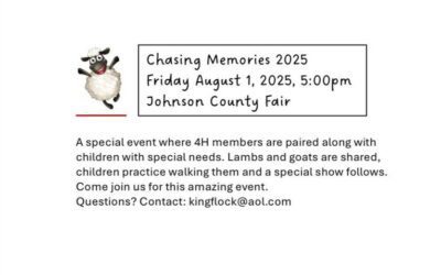 Chasing Memories