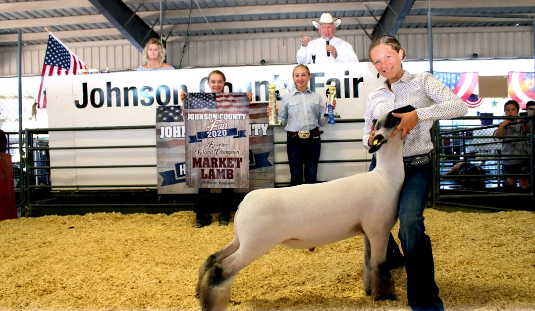 4H/FFA Livestock Auction