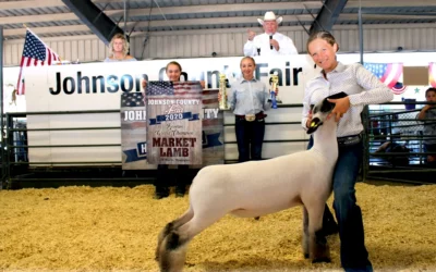4H/FFA Livestock Auction